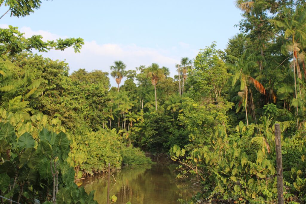 Diplomacia brasileira em 2025: COP30 e Brics em destaque